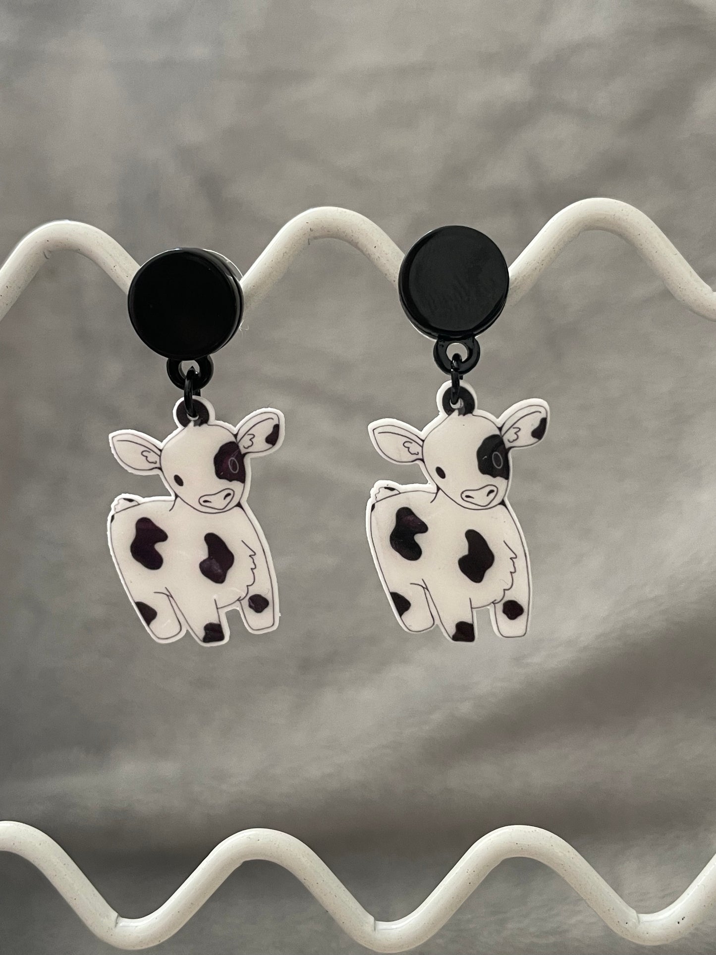 Black and White cows